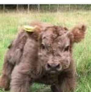 Meet your Posher, Jacqueline